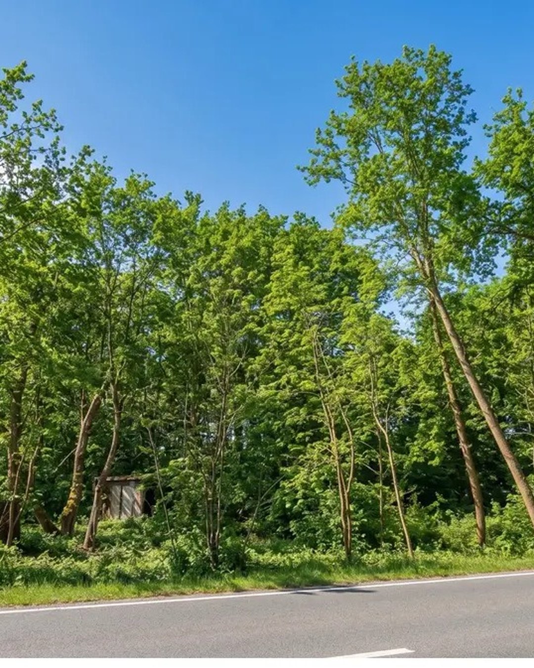 Grundstück in Mühlenbecker Land