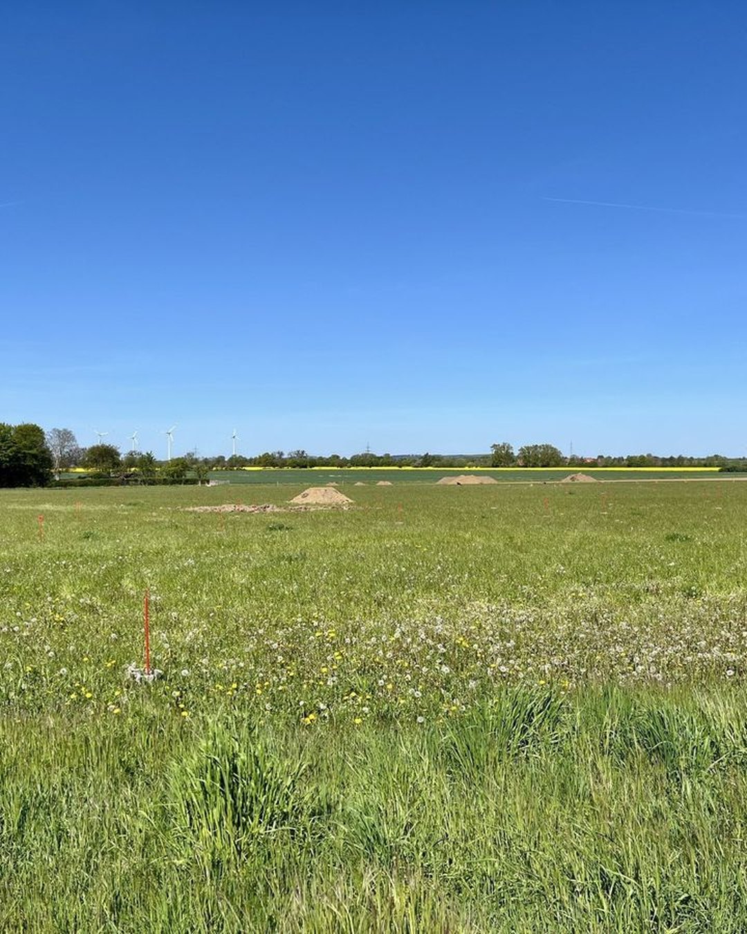 Grundstück in Bad Nenndorf